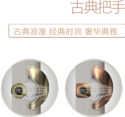 愛力維特